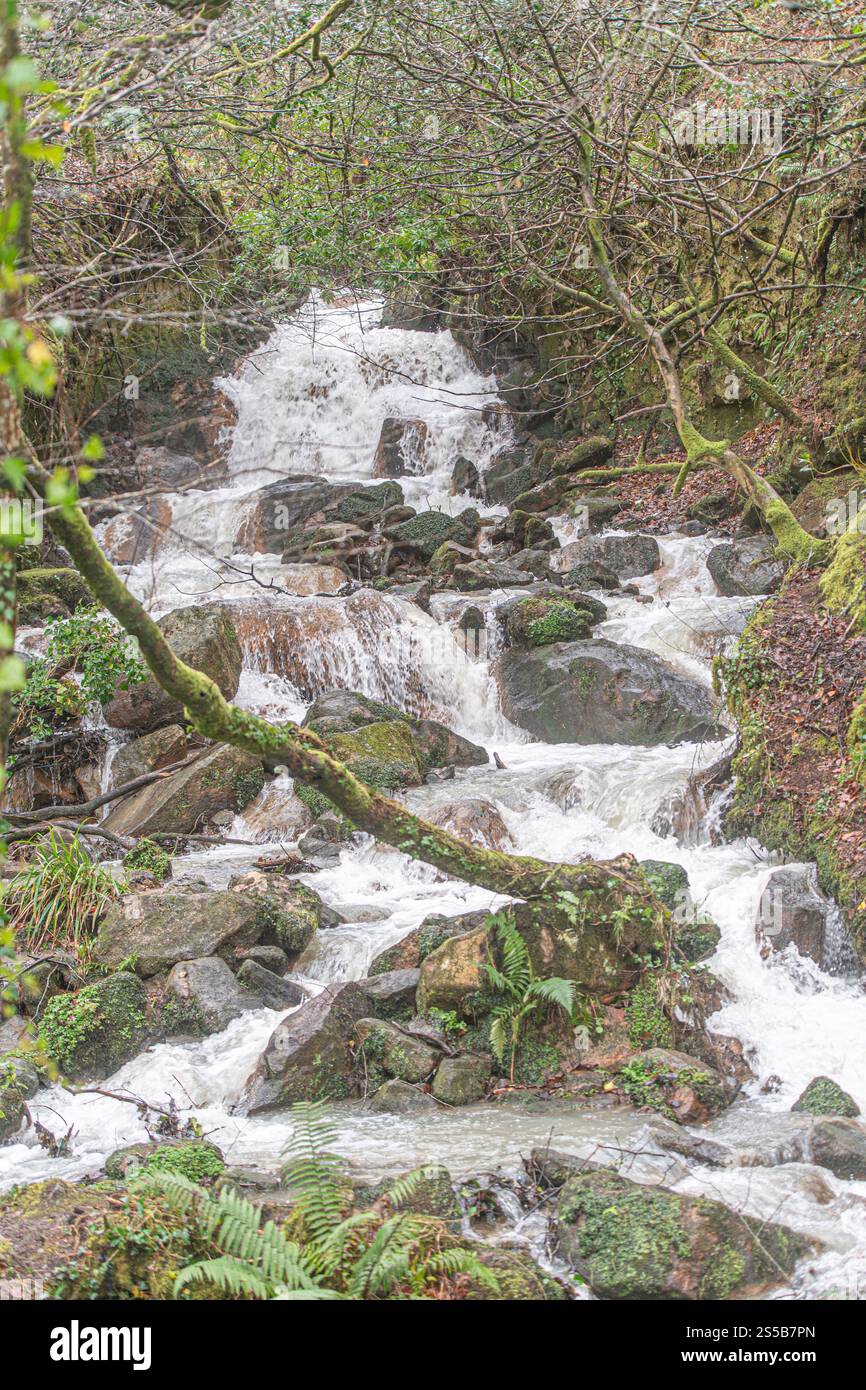 Cascade Tregargus Valley Heritage zone industrielle en Cornouailles, Royaume-Uni Banque D'Images