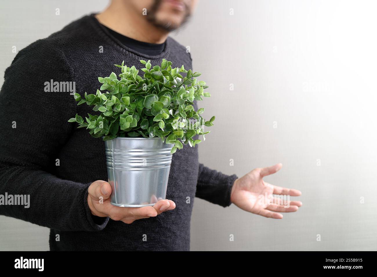 homme d'affaires de succès tenant l'usine de vase, arbre, vue de face, sur fond blanc Banque D'Images