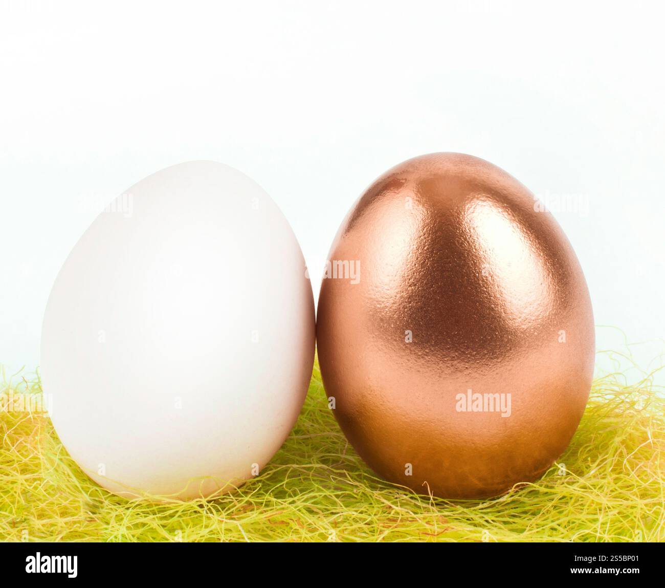 oeuf doré avec oeuf blanc. oeuf doré avec blanc Banque D'Images