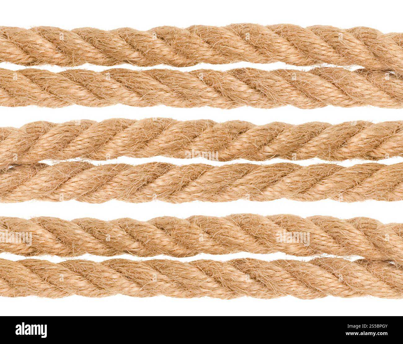 Corde dorée sans couture isolée sur fond blanc. Corde dorée sans couture Banque D'Images