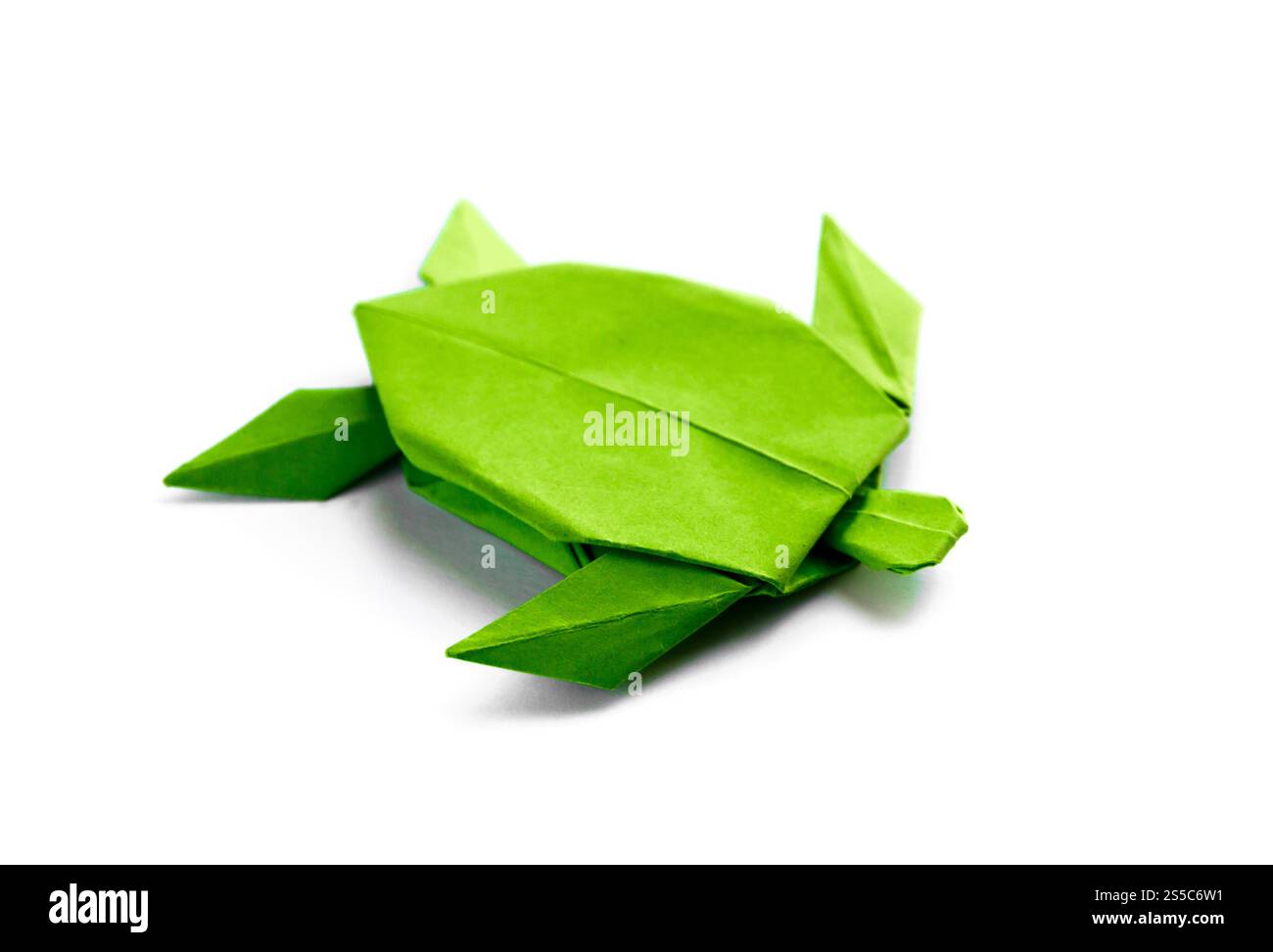 Origami tortue de papier vert isolé sur un fond blanc vierge. Origami tortue de papier vert isolé sur un fond blanc Banque D'Images