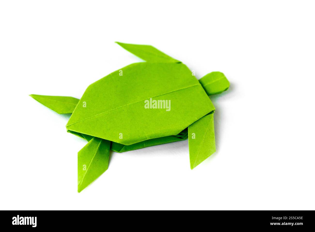 Origami tortue de papier vert isolé sur un fond blanc vierge. Origami tortue de papier vert isolé sur un fond blanc Banque D'Images
