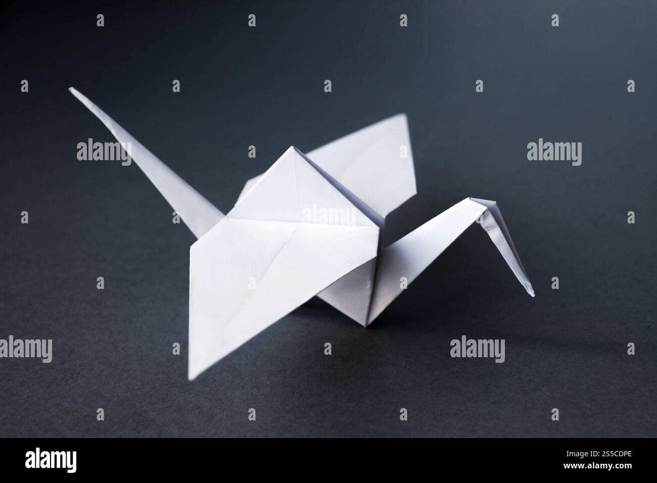 Origami de grue en papier blanc isolé sur un fond gris vierge. Origami de grue en papier blanc isolé sur un fond gris Banque D'Images
