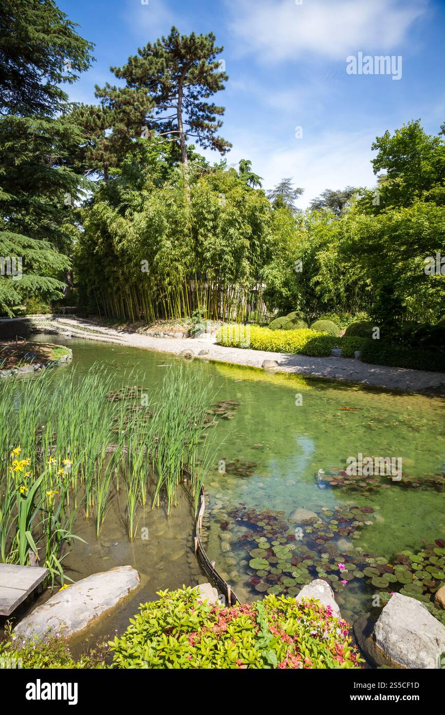 Étang dans un jardin japonais traditionnel. Fond Zen. Étang dans un jardin japonais Banque D'Images