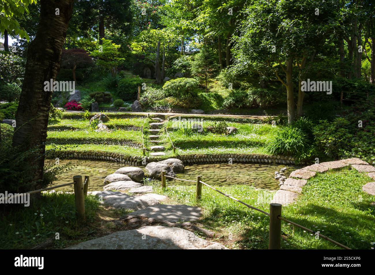 Étang dans un jardin japonais traditionnel. Fond Zen. Étang dans un jardin japonais Banque D'Images