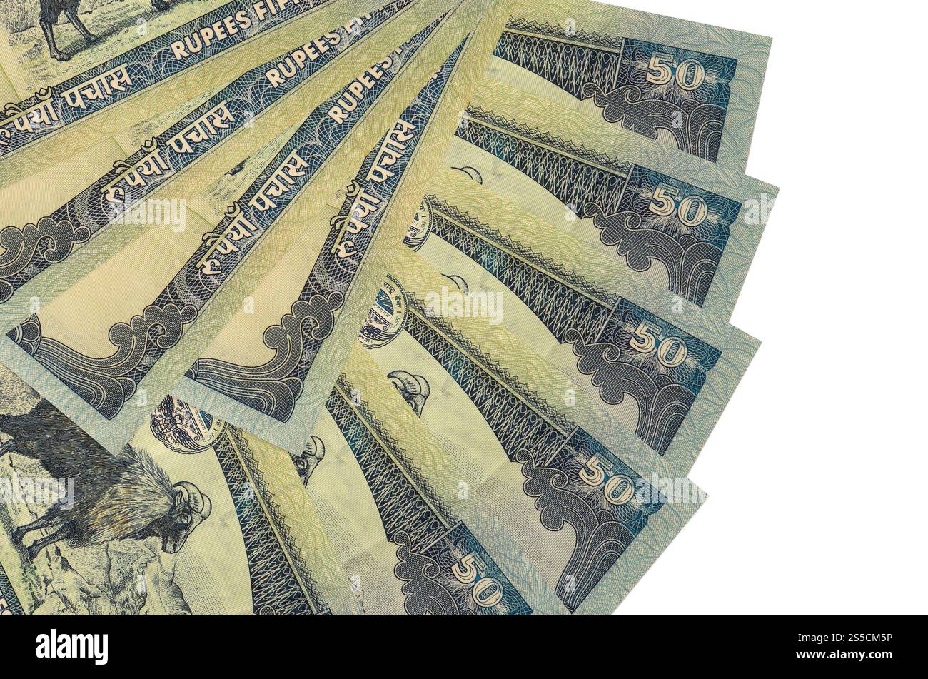 50 billets de roupies népalaises se trouve isolé sur fond blanc avec un espace de copie empilé en forme d'éventail de gros plan. Concept de transactions financières. 50 Népalais Banque D'Images