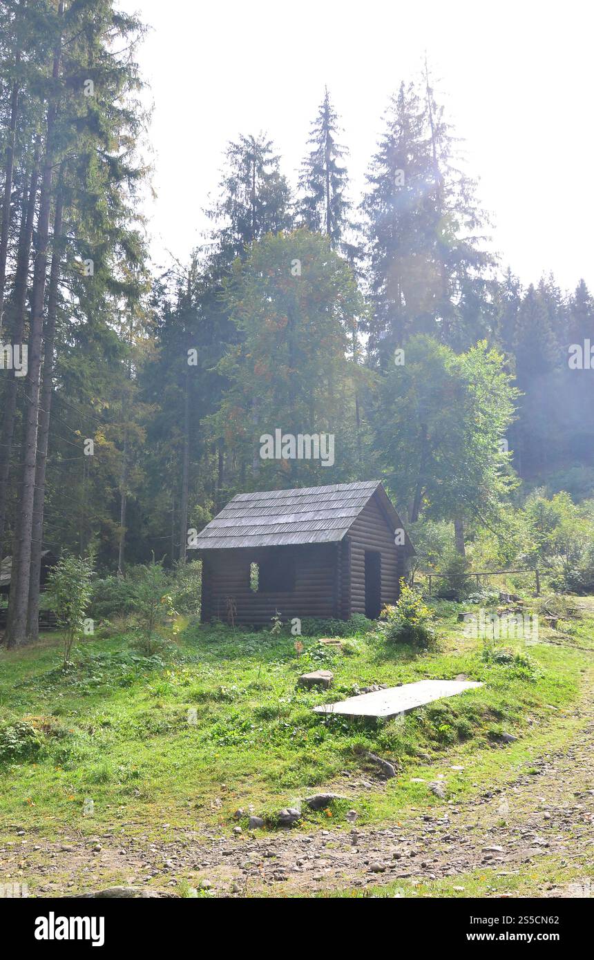 Petite maison naturelle, qui est construit en bois. Le bâtiment est situé dans la forêt Banque D'Images
