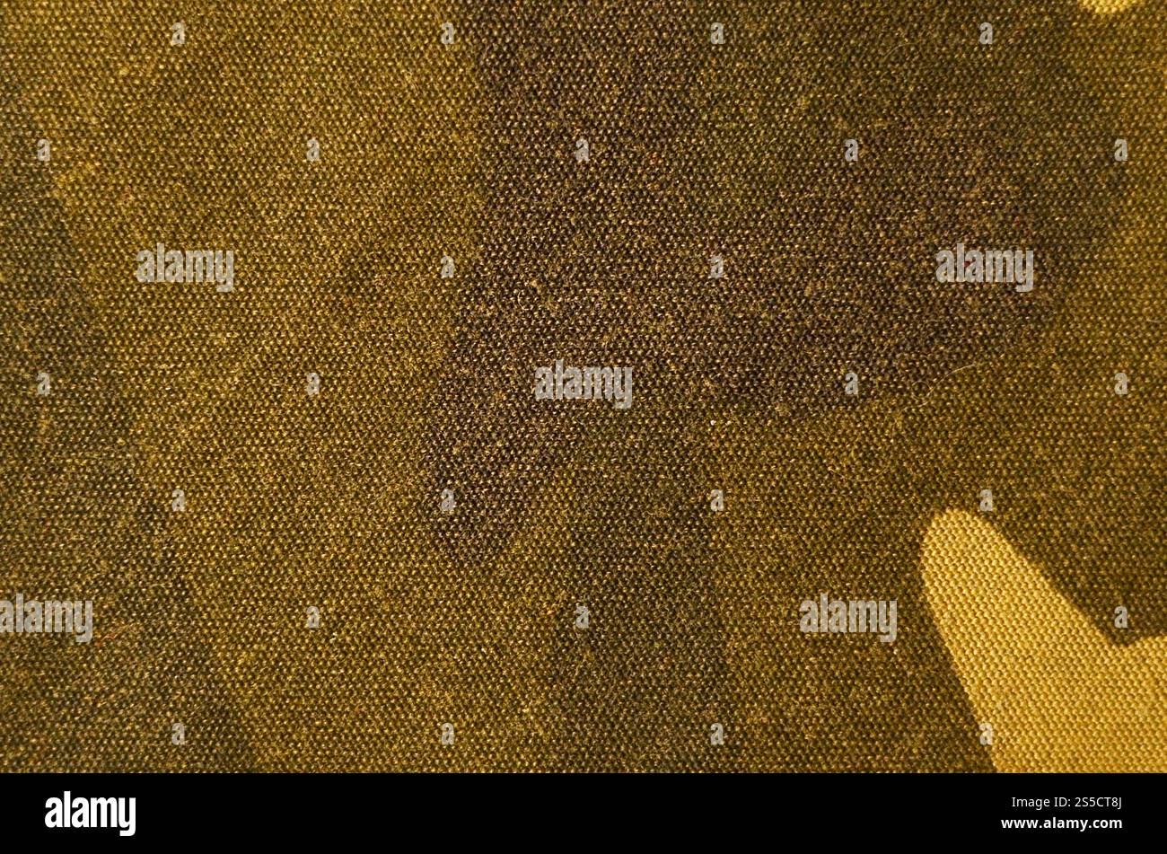 Fond de texture de tissu de camouflage de forêt vert armée. Texture militaire détaillée avec des couleurs vert marais. Image abstraite pour la conception. Textile Banque D'Images
