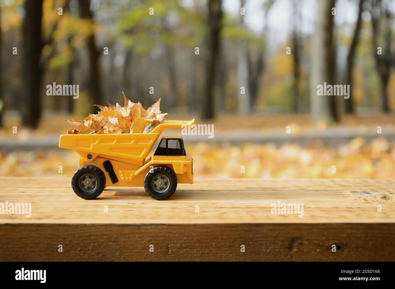Un petit camion jaune jouet est chargé de feuilles jaunes tombées. La voiture se tient sur une surface en bois sur un fond d'un parc d'automne flou. Banque D'Images