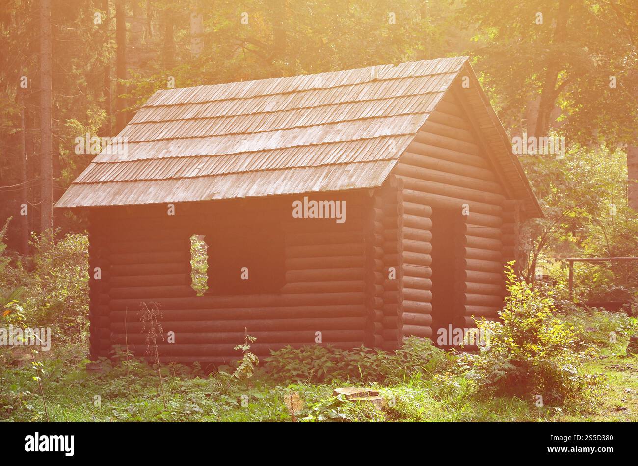 Petite maison naturelle, qui est construit en bois. Le bâtiment est situé dans la forêt Banque D'Images
