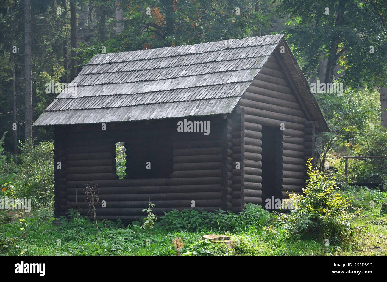 Petite maison naturelle, qui est construit en bois. Le bâtiment est situé dans la forêt Banque D'Images