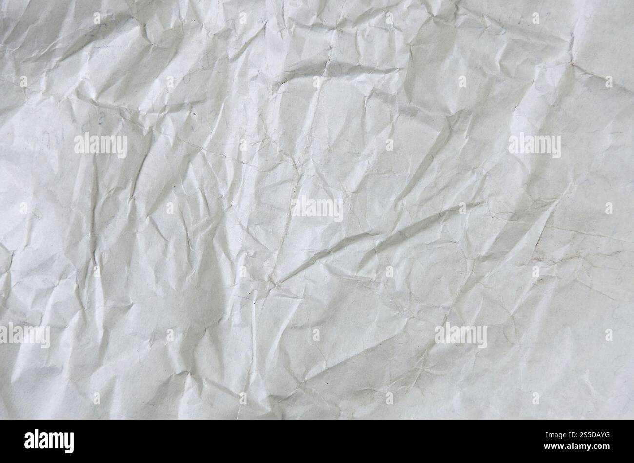 Fond blanc froissé. Pastels couverture de livre peinture vue de dessus surface grunge grise feuille de papier parchemin vide. Affiche d'art au-dessus des plis Banque D'Images