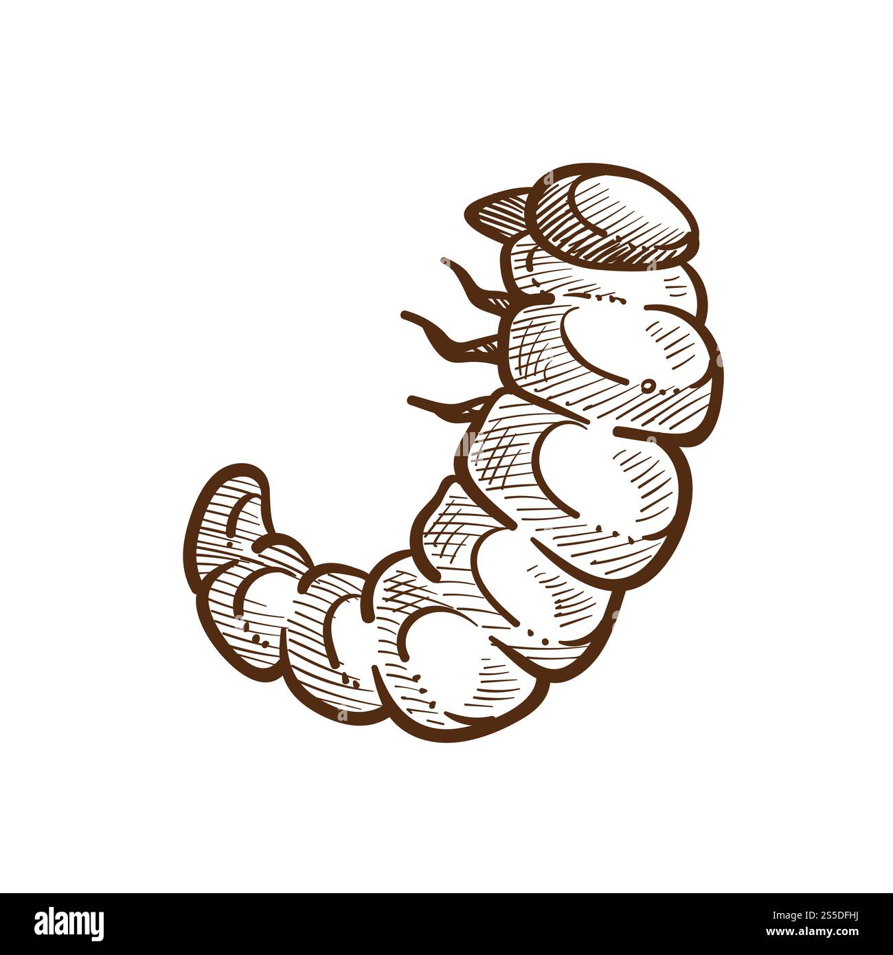 Croquis monochrome d'insectes nuisibles larves. Chenille à petites pattes, parasite pour les champs et les cultures des agriculteurs en été. Destructeur de produits isolé sur illustration vectorielle blanche. Larve insecte nuisible monochrome esquisse illustration vectorielle Illustration de Vecteur