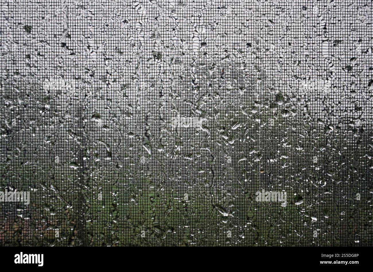 Image en arrière-plan des gouttes de pluie sur une vitre, qui est protégé par une moustiquaire. Macro photo avec une faible profondeur de champ Banque D'Images