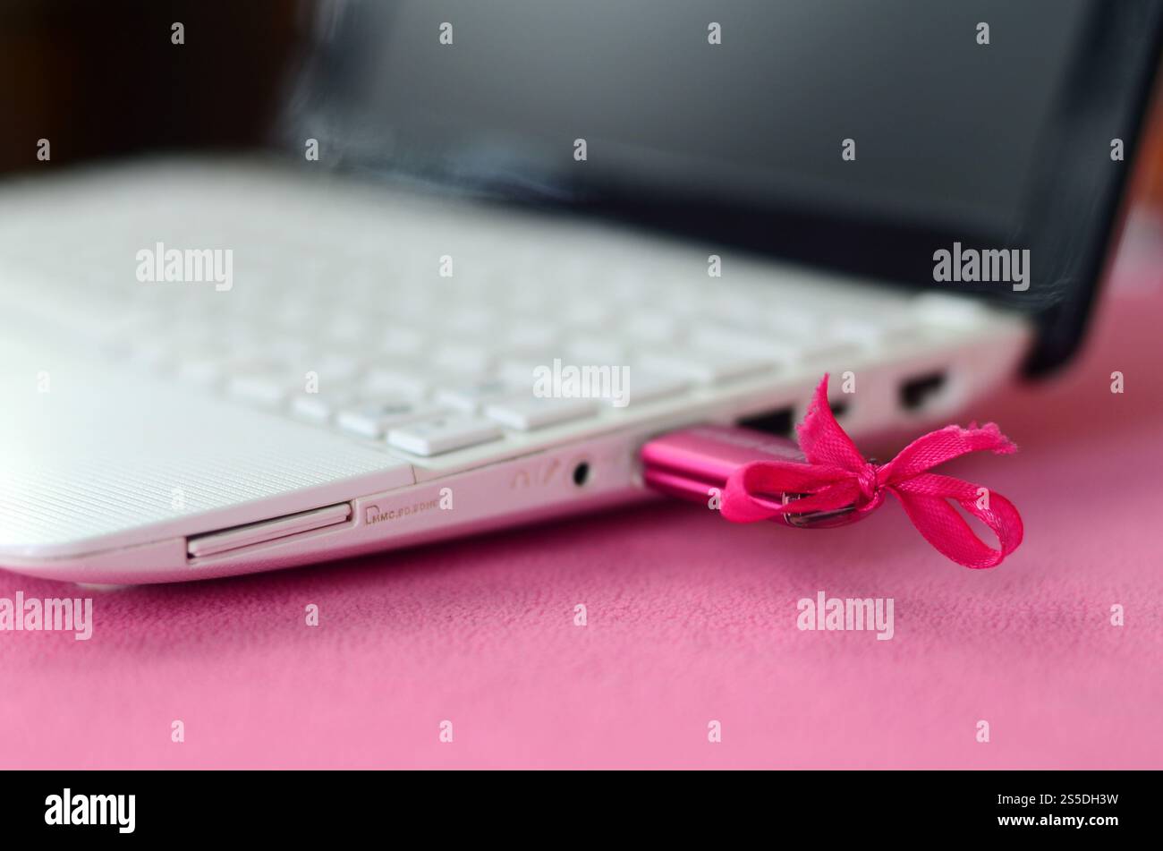 Une rose brillant flash USB avec un noeud rose est connecté à un ordinateur portable blanc, qui se trouve sur une couverture douce et moelleuse de tissu polaire rose clair. Banque D'Images