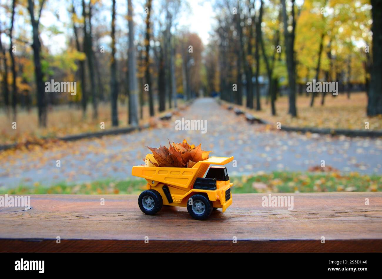 Un petit camion jaune jouet est chargé de feuilles jaunes tombées. La voiture se tient sur une surface en bois sur un fond d'un parc d'automne flou. Banque D'Images