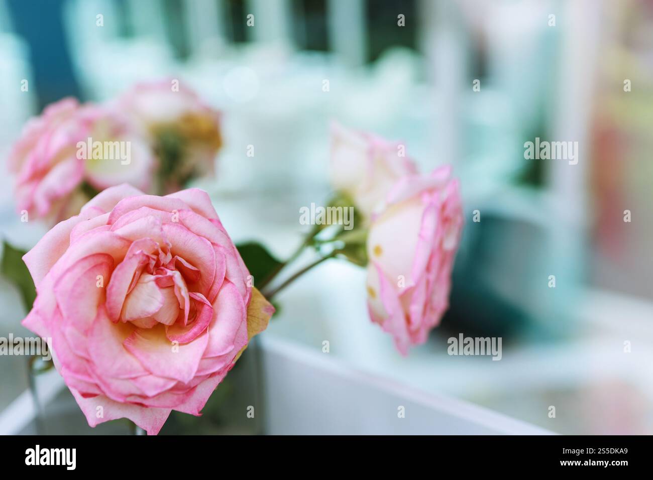 Fleur de roses roses naturelles dans le vase se tient sur la table dans un café pour l'arrière-plan. Banque D'Images