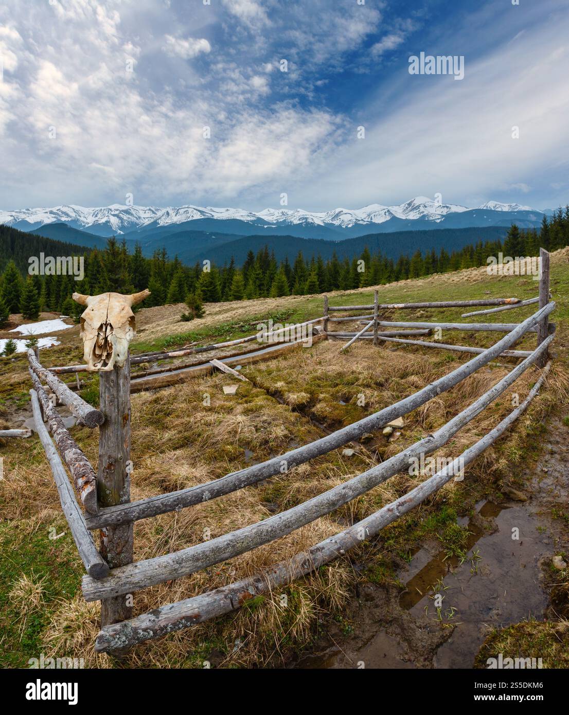 Carpates printemps paysage avec des sommets couverts de neige des Chornohora ridge de loin, de l'Ukraine. Zone agricole clôturé avec de l'eau printemps et buveur. Banque D'Images