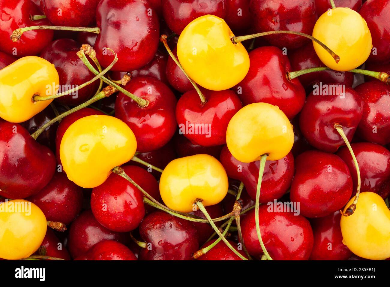 vue rapprochée de dessus du mélange cerise rouge jaune Banque D'Images