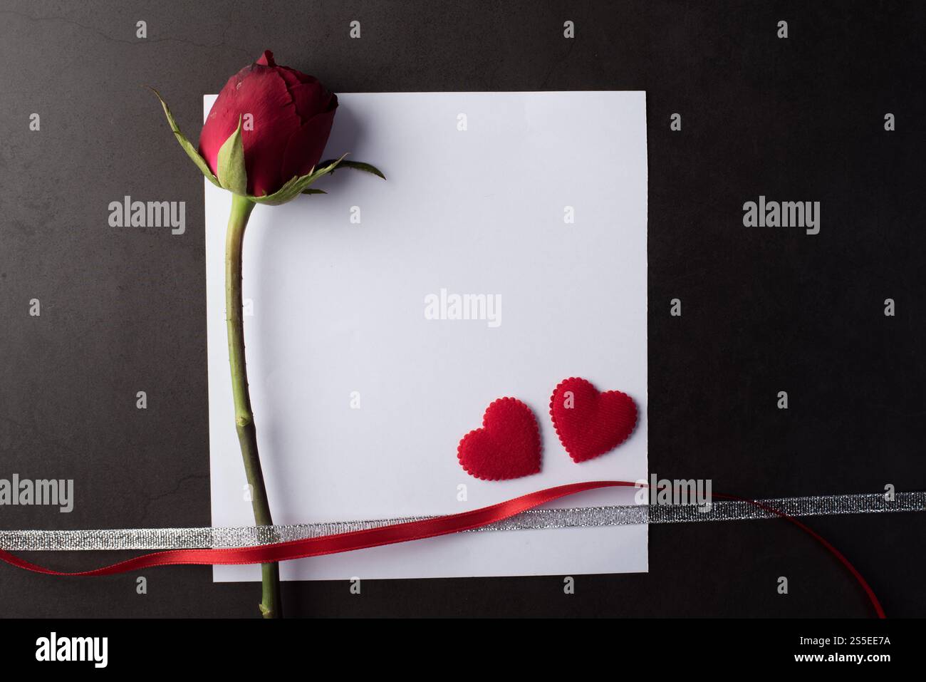 Rose rouge avec carte blanche Banque D'Images