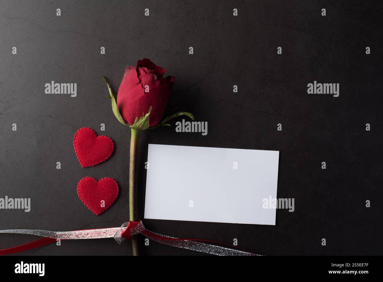 Rose rouge avec carte blanche Banque D'Images