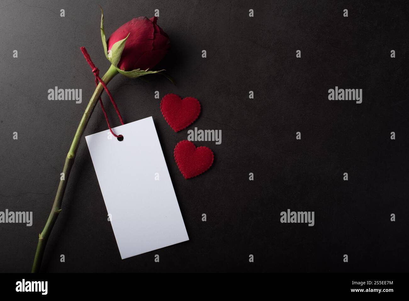 Rose rouge avec carte blanche Banque D'Images