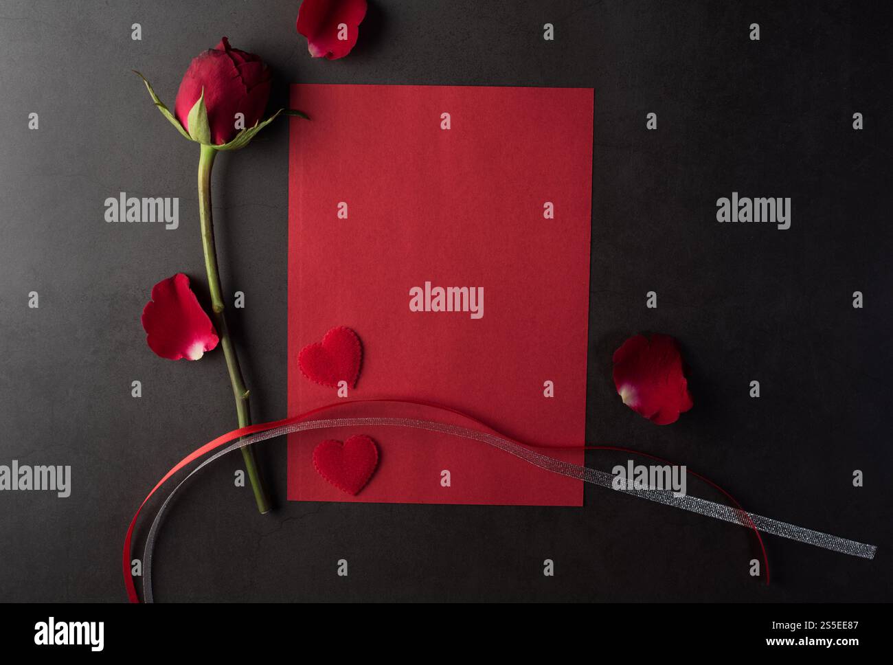 Rose rouge avec carte blanche Banque D'Images