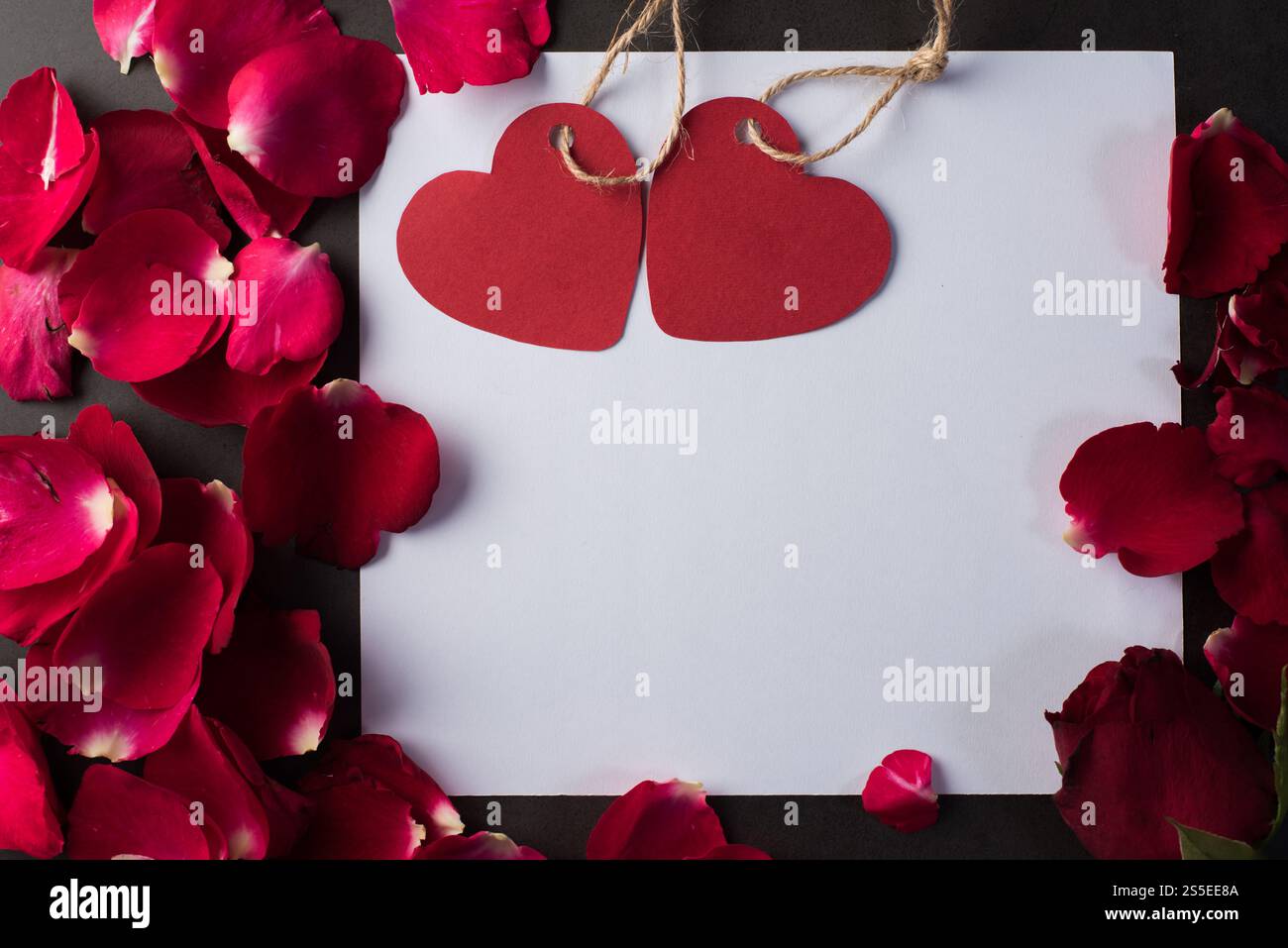 Rose rouge avec carte blanche Banque D'Images