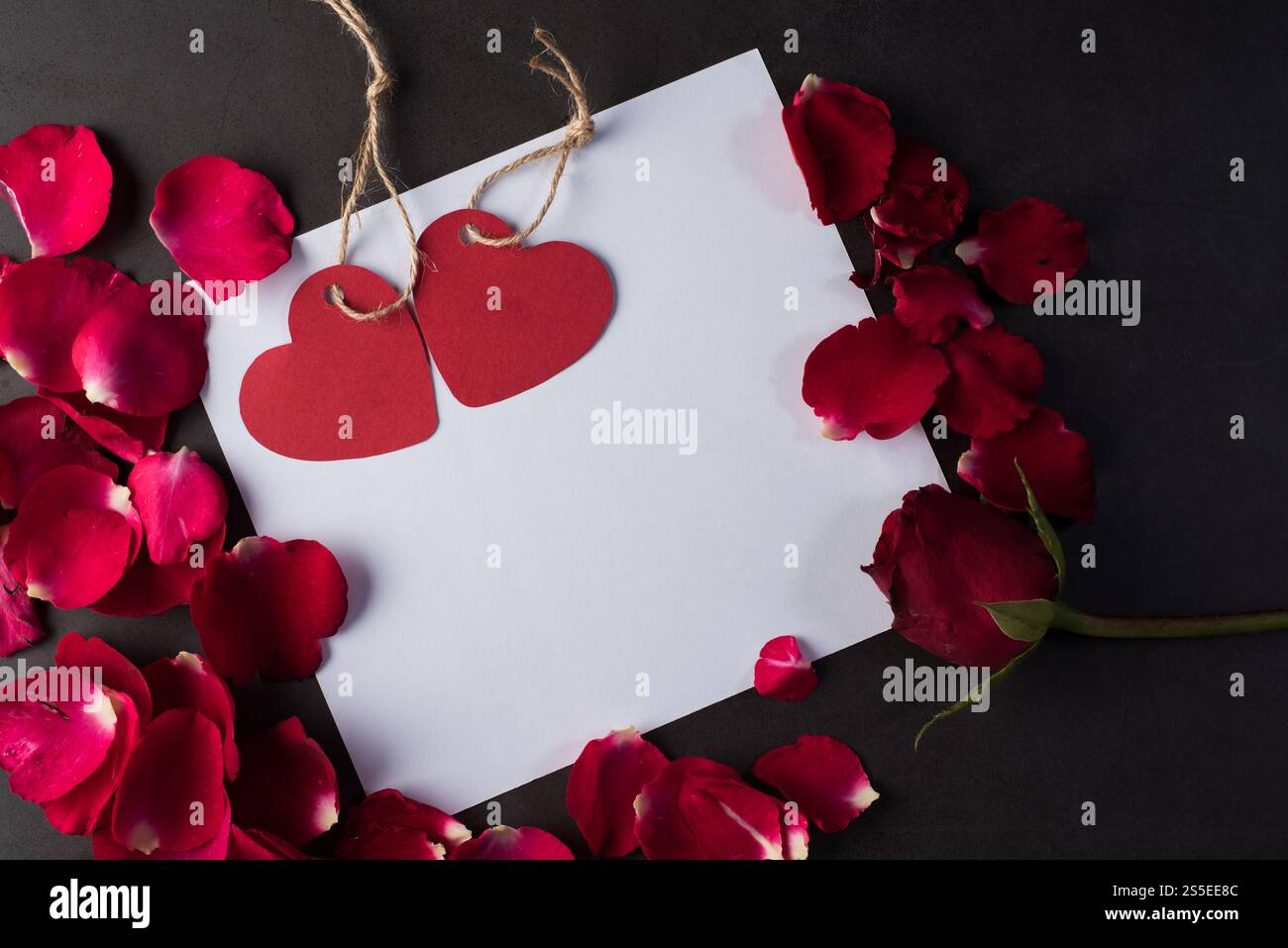 Rose rouge avec carte blanche Banque D'Images