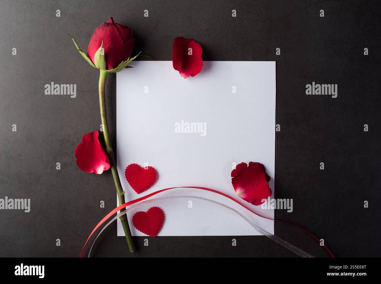 Rose rouge avec carte blanche Banque D'Images