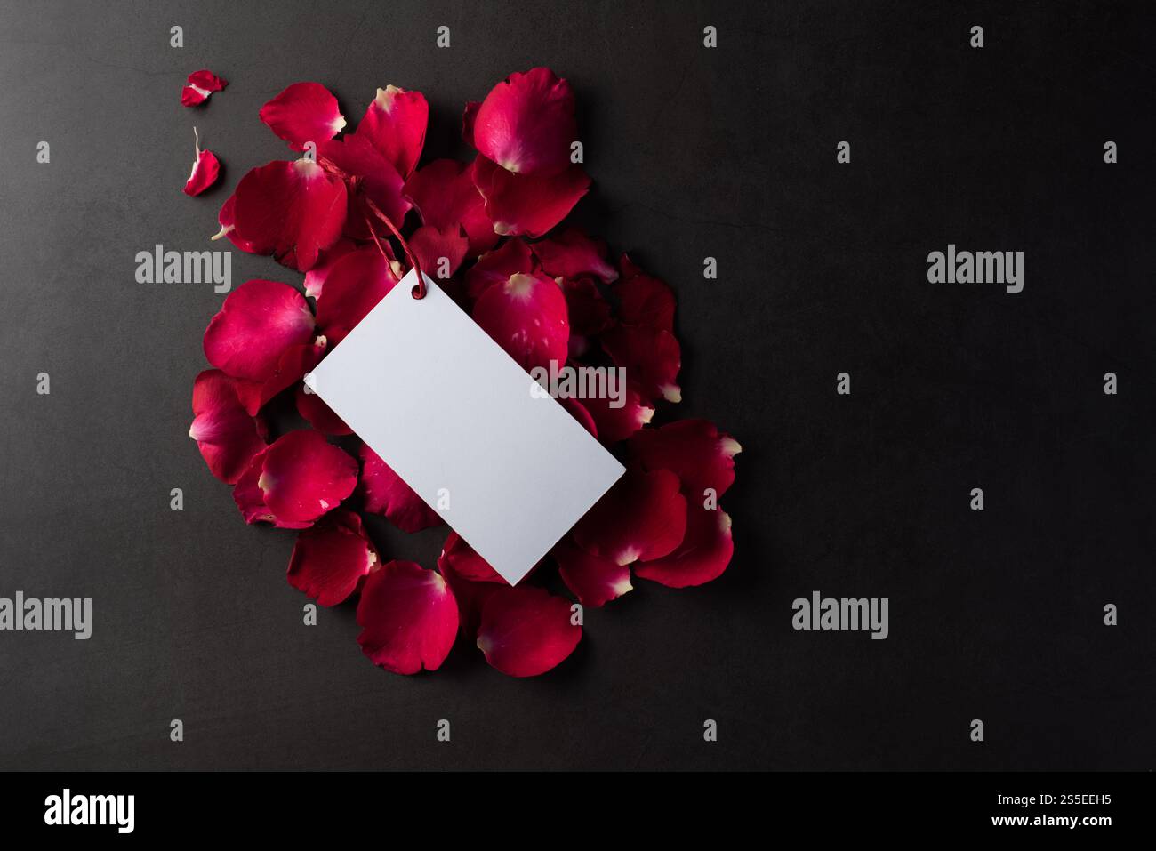 Rose rouge avec carte blanche blanche vierge Banque D'Images