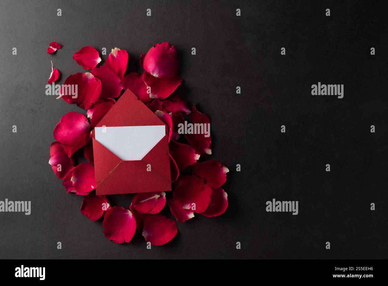 Rose rouge avec carte blanche Banque D'Images