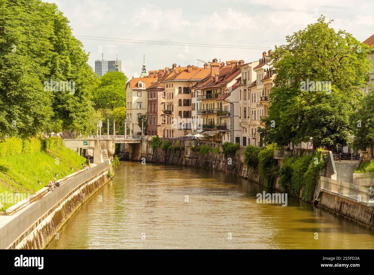 Tranquille rivière Ljubljana qui coule à travers une ville européenne pittoresque avec une architecture classique et des arbres verts bordant les rives sous un ciel partiellement nuageux, Ljubljana, Slovénie Banque D'Images