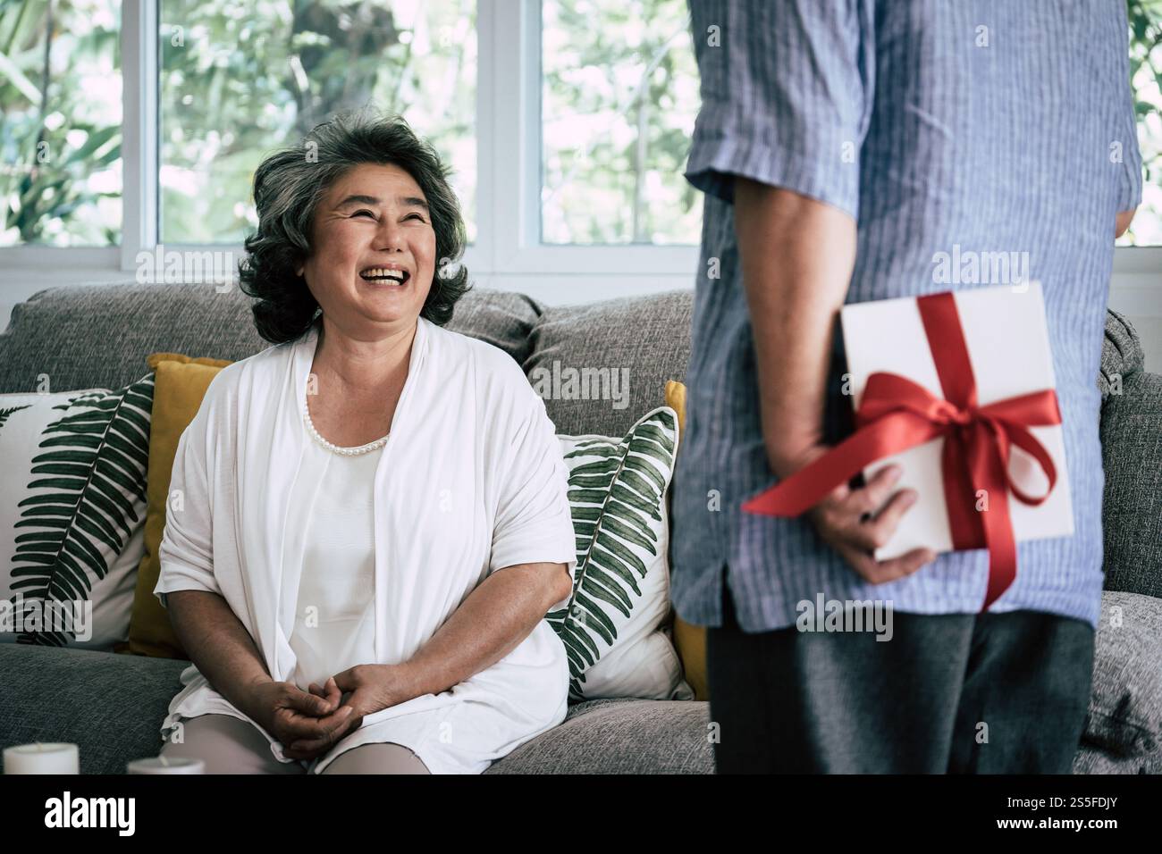 Couples âgés surprise et coffret cadeau au salon Banque D'Images