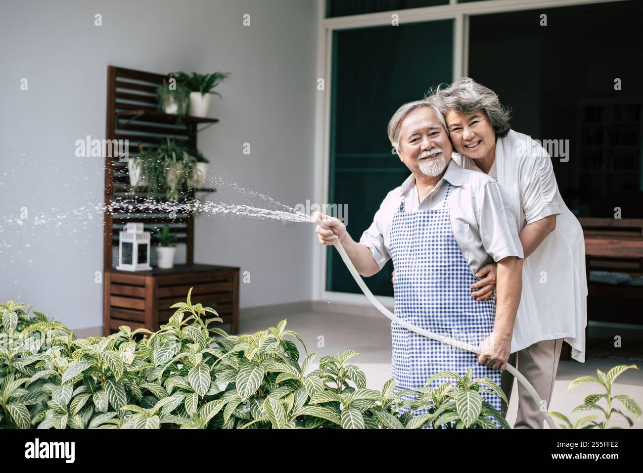 Couple âgé arrosant une fleur dans le jardin de la maison Banque D'Images