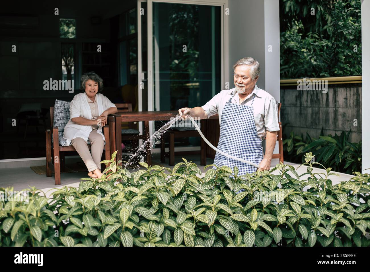 Couple âgé arrosant une fleur dans le jardin de la maison Banque D'Images