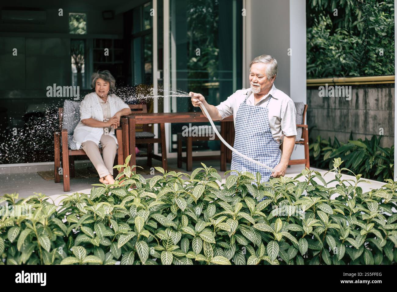 Couple âgé arrosant une fleur dans le jardin de la maison Banque D'Images