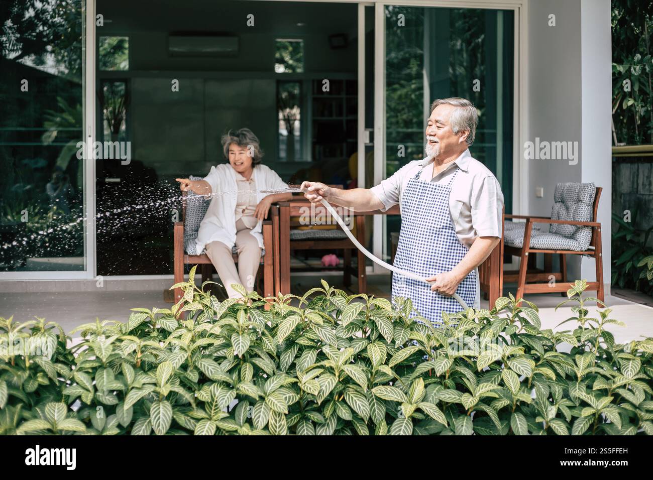 Couple âgé arrosant une fleur dans le jardin de la maison Banque D'Images