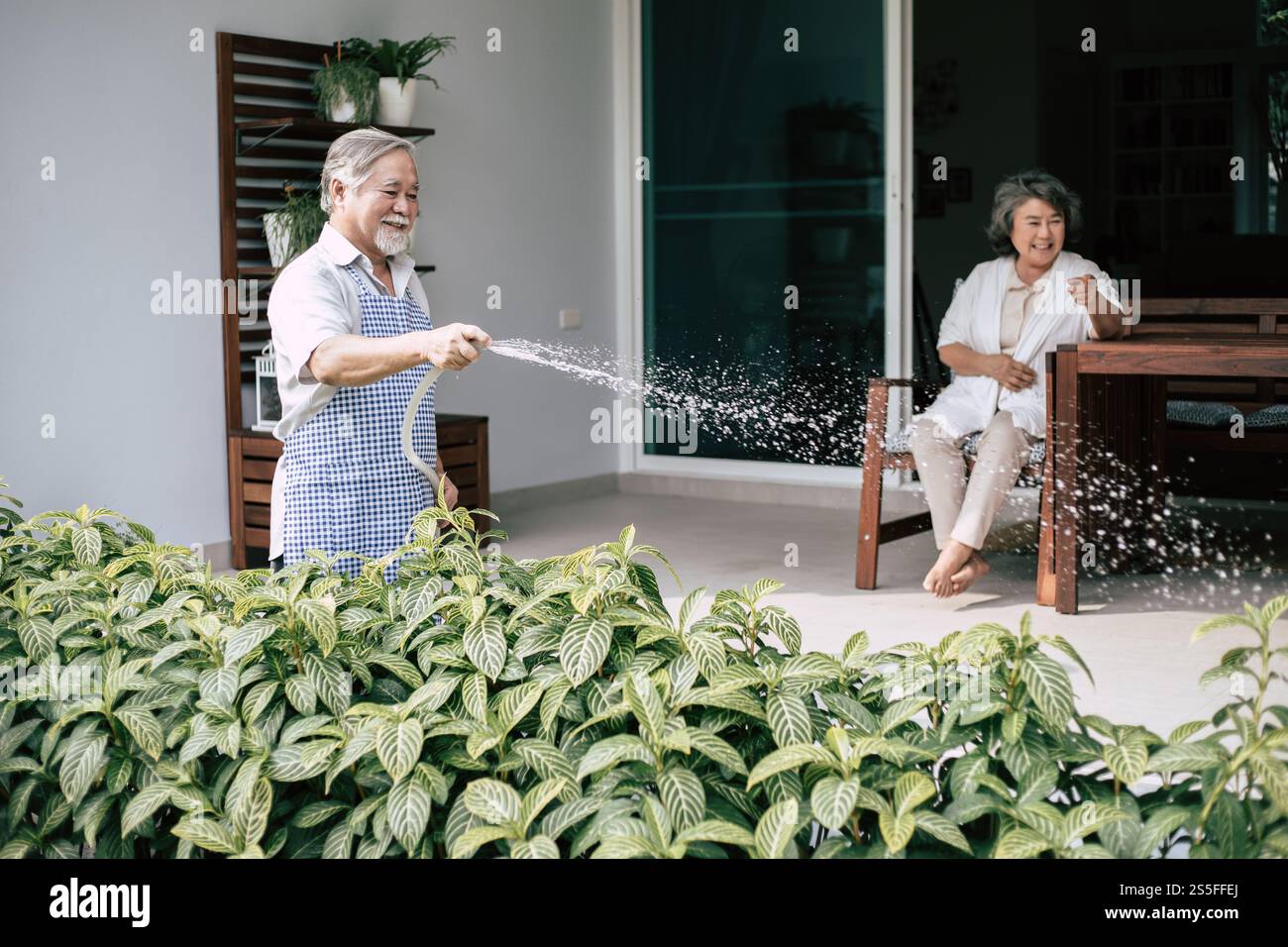 Couple âgé arrosant une fleur dans le jardin de la maison Banque D'Images