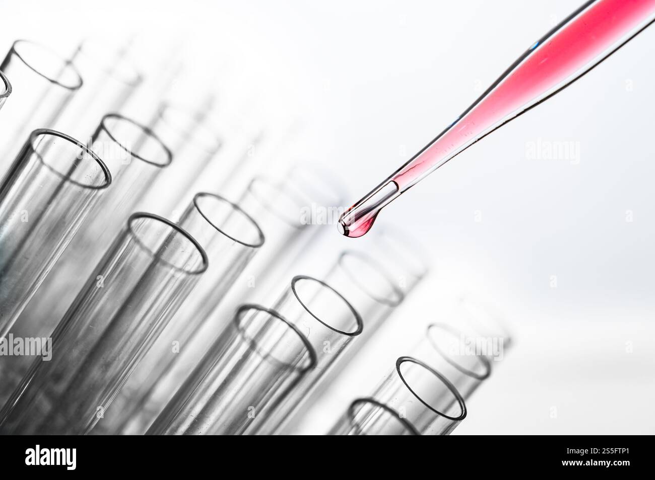 Déposez les produits chimiques roses dans le bécher. Banque D'Images