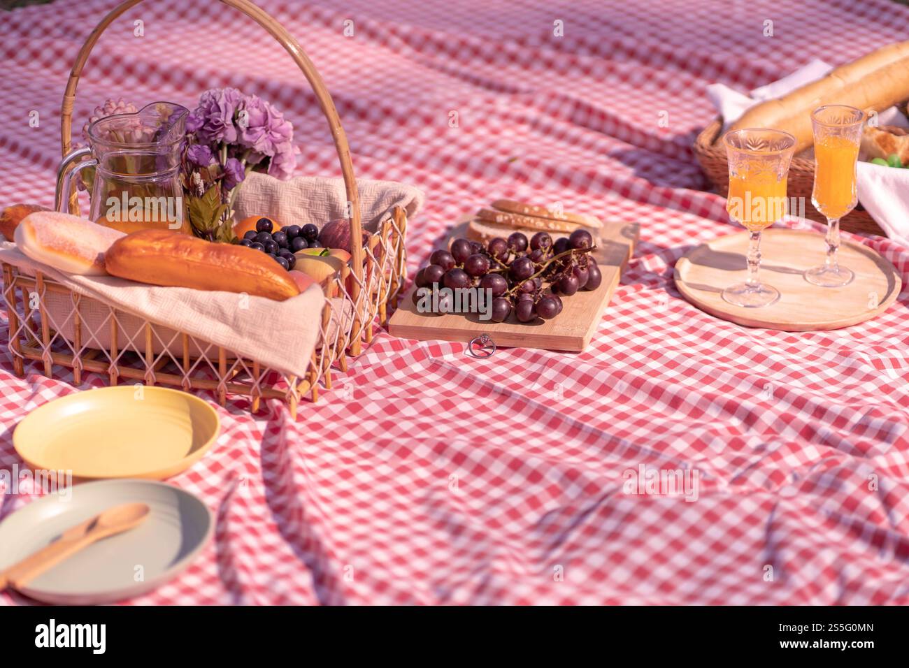 Déjeuner pique-nique repas à l'extérieur du parc avec panier de pique-nique alimentaire. profitez de l'heure de pique-nique dans la nature du parc à l'extérieur Banque D'Images
