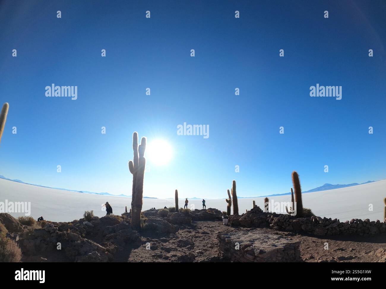 Uyuni Salt Flat Incahuasi Island Banque D'Images