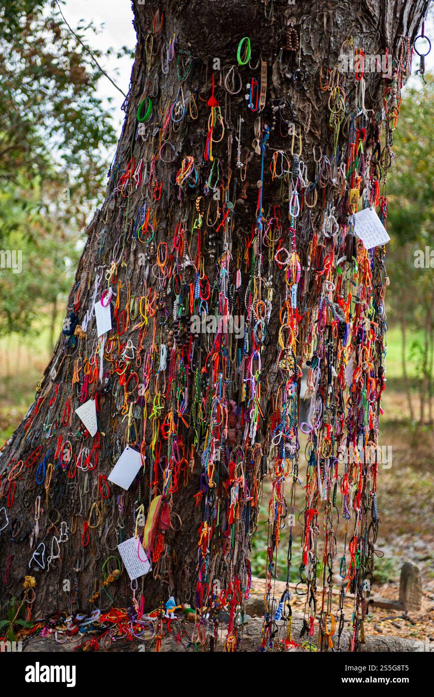 Tuant des arbres à Choeung Ek tuant des champs près de Phnom Penh, Cambodge, Asie Banque D'Images