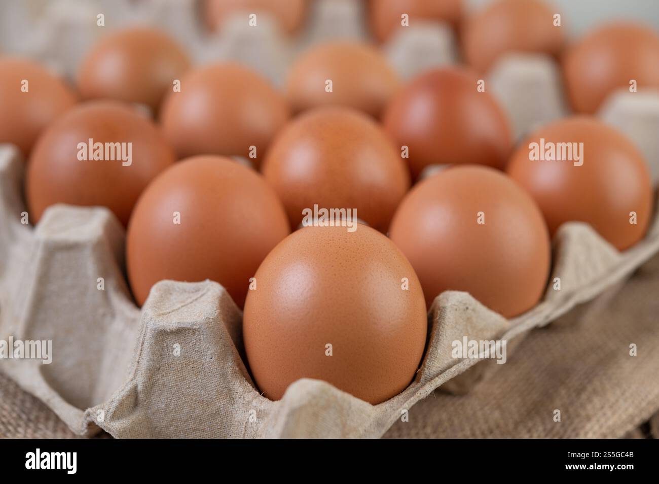 Oeufs de poulet crus nourriture biologique pour une bonne santé haute protéine. Banque D'Images