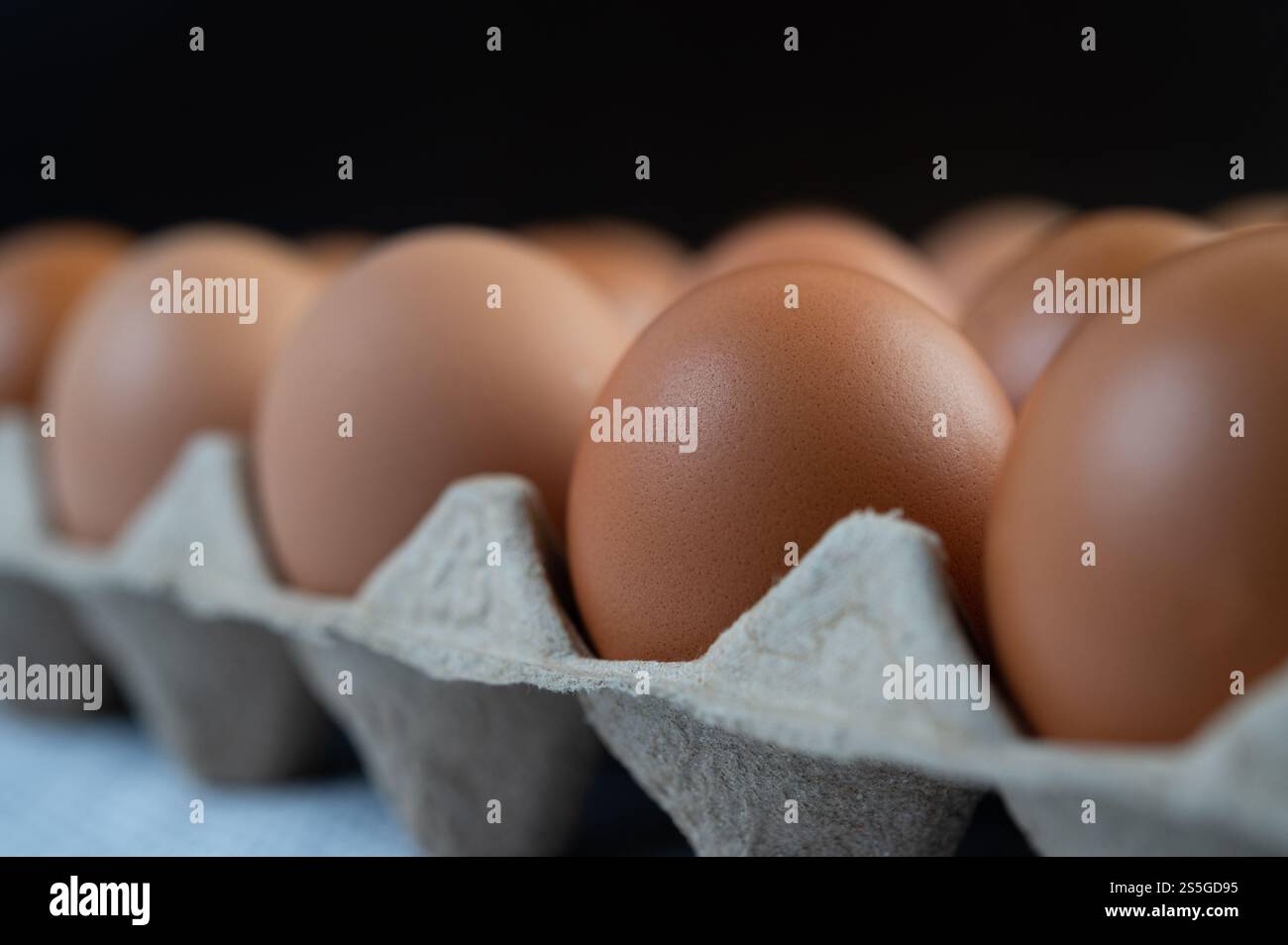 Œufs de poulet placés sur un plateau à œufs gros plan. Banque D'Images