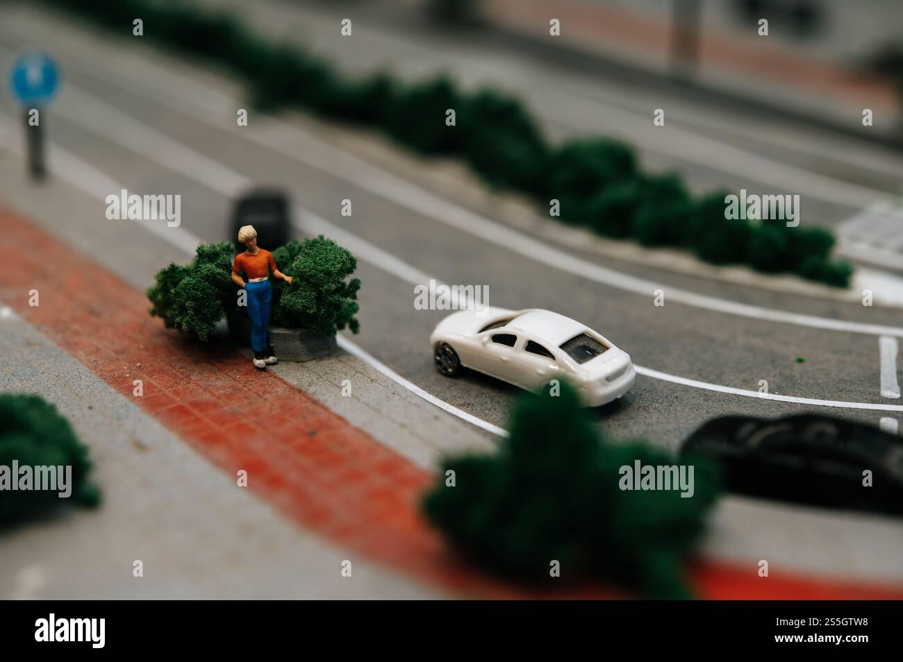 Gros plan des gens se tiennent près d'un petit arbre sur le sentier. Banque D'Images