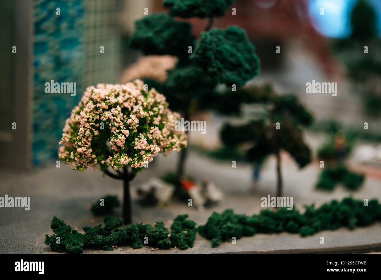 gros plan d'un petit arbre avec des fleurs dans le parc. Banque D'Images