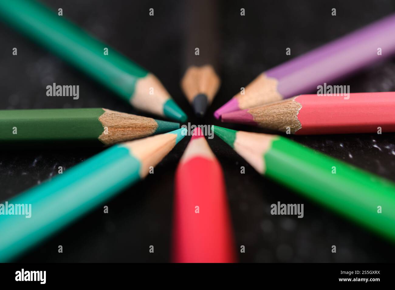 Gros plan, crayons de bois disposés dans une roue de couleur. Banque D'Images