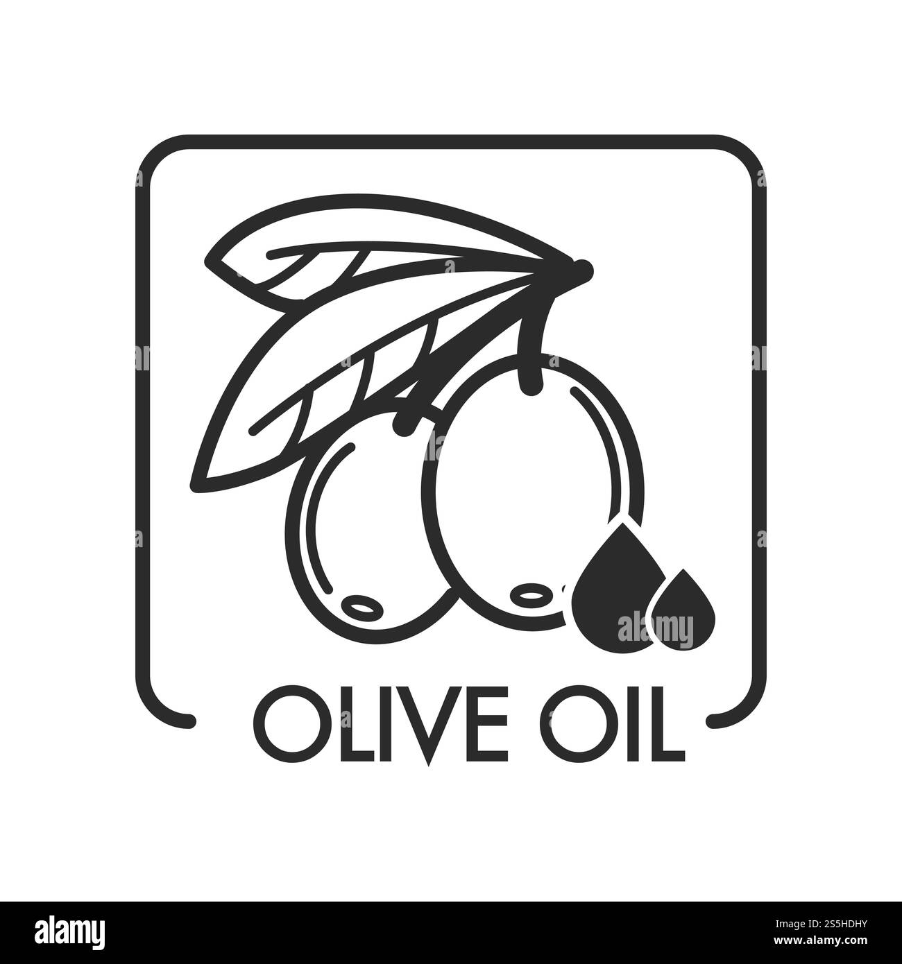 Huile d'olive extra vierge, monochrome esquisse contour vecteur de logo isolé. Ingrédient naturel plein de vitamines et de nutriments sains, branche avec des fruits et des feuilles. Assaisonnement grec encadré. Huile d'olive extra vierge, logo de contour monochrome Illustration de Vecteur