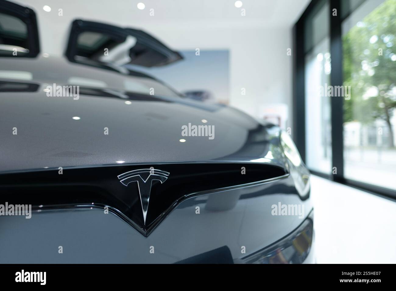 Silver Tesla Model X voiture électrique, gros plan chromé logo Tesla Motors sur capot argent, Elon Musk, société américaine, production de véhicules électriques, Banque D'Images